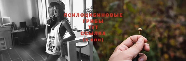 соль ск Абдулино