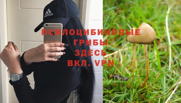 тгк Алзамай