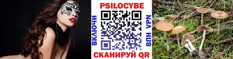 купить наркотик  Кувшиново  Галлюциногенные грибы мицелий 